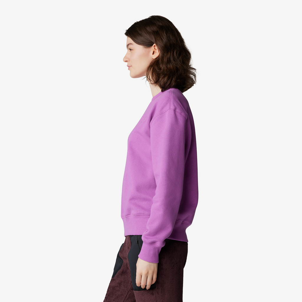 Mountain Hardwear W MHW Logo Pullover Crew in PINK