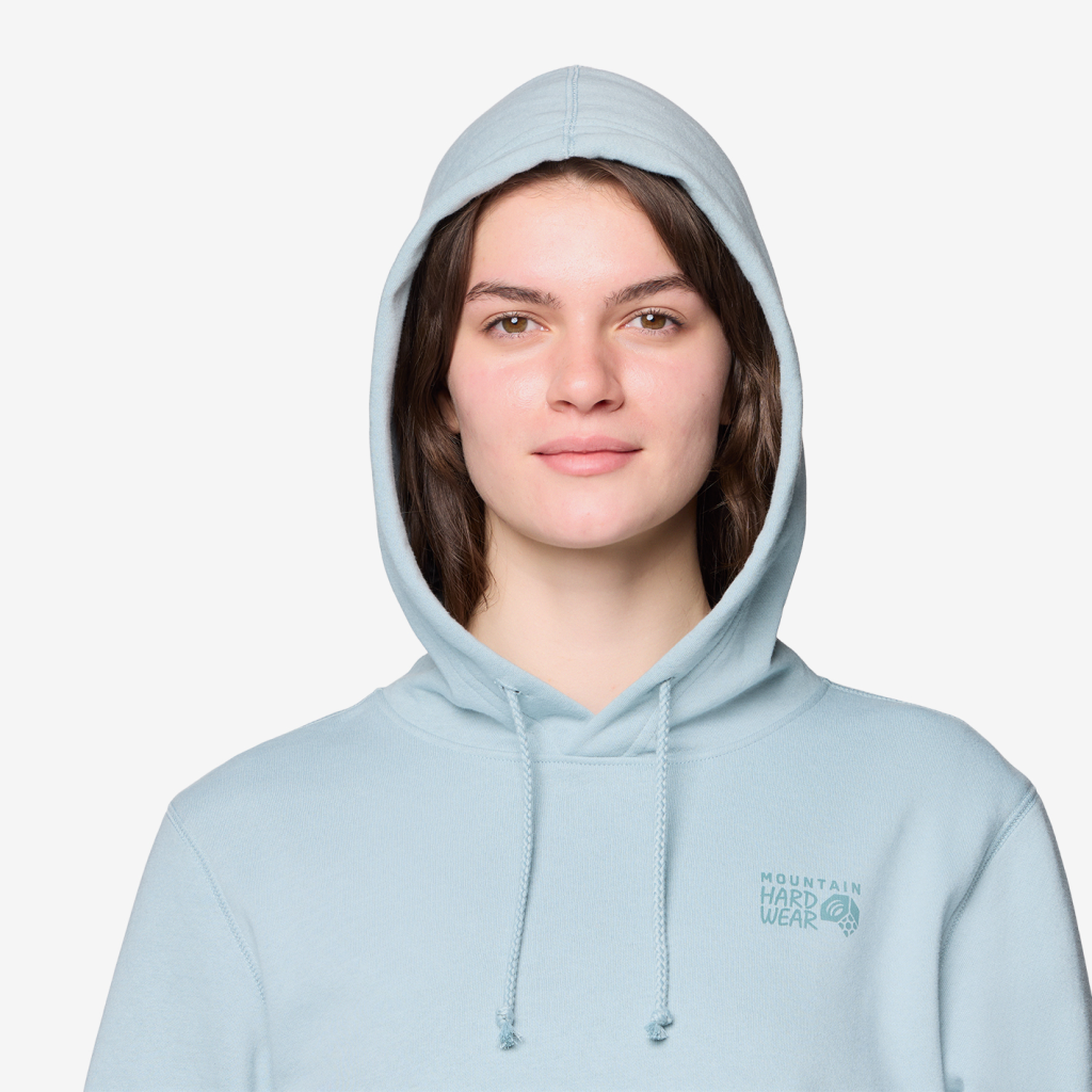 Mountain Hardwear W MHW™ Logo PO Hoody in BLAU