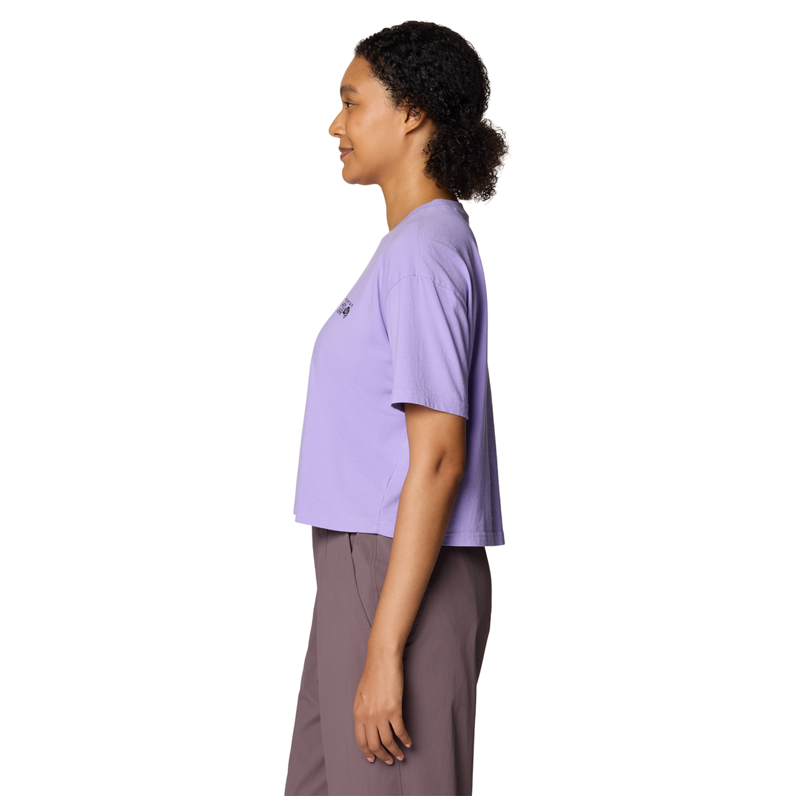 Mountain Hardwear W MHW™ Logo Boxy Crop Short Sleeve in
