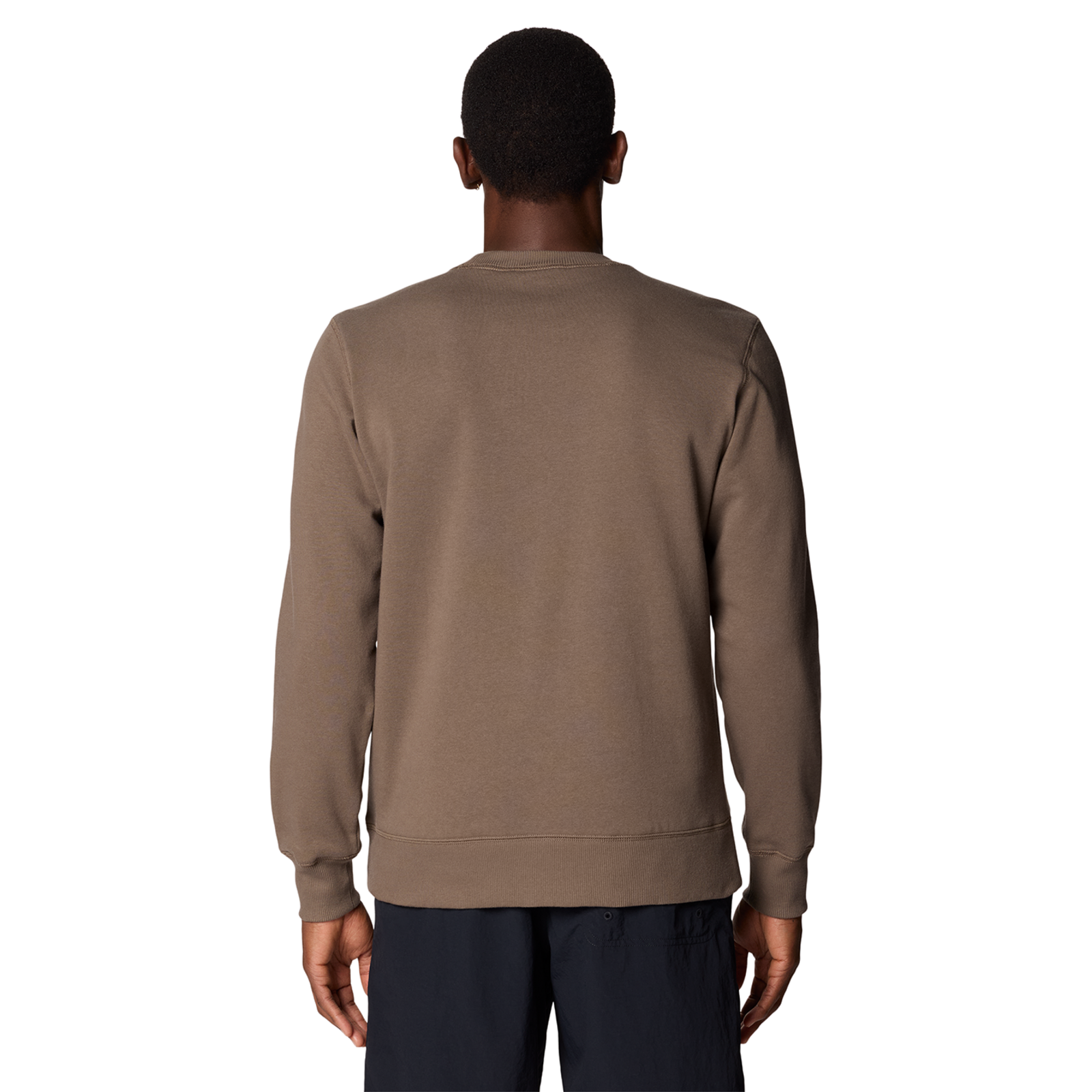 Mountain Hardwear M MHW Logo Pullover Crew in