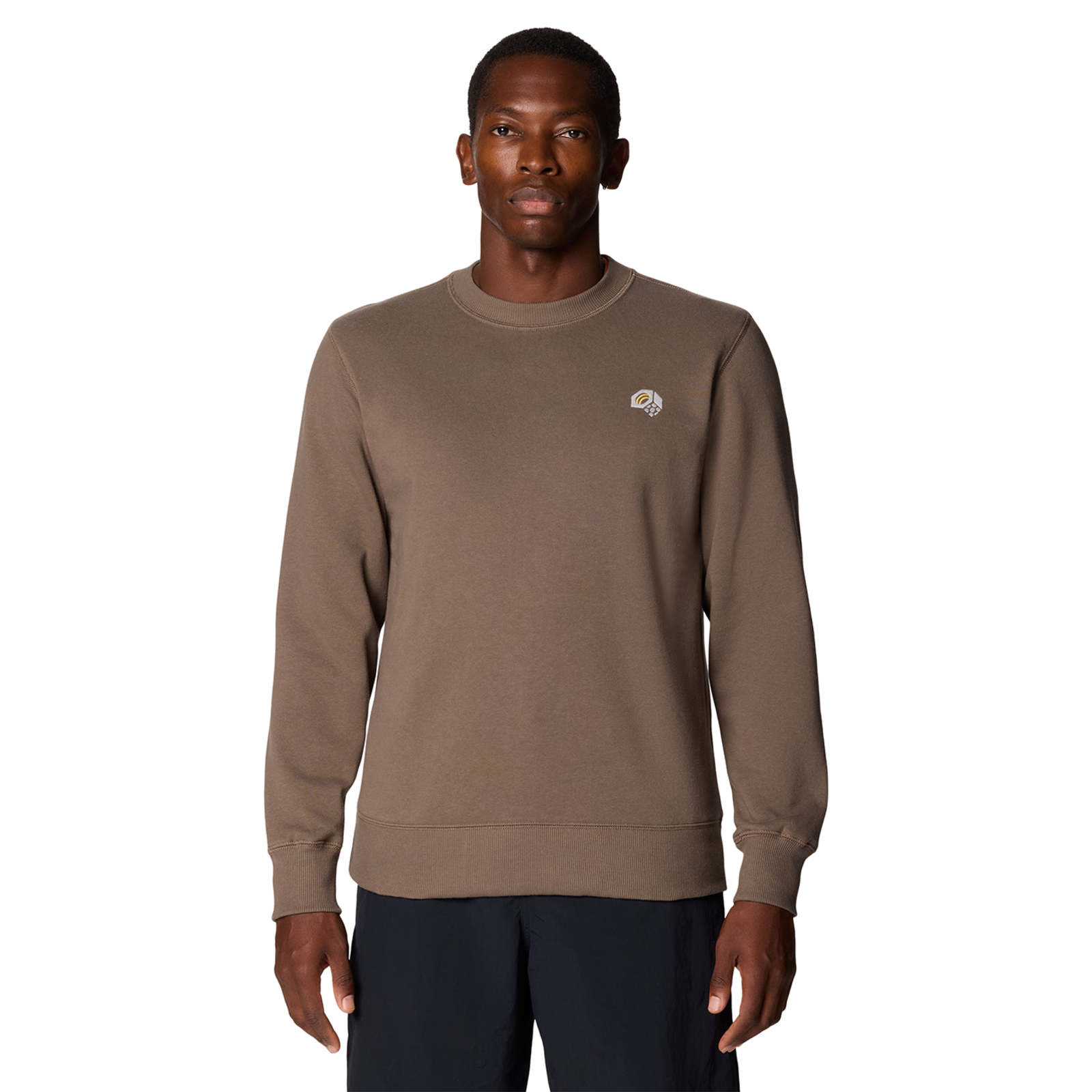 Mountain Hardwear M MHW Logo Pullover Crew in