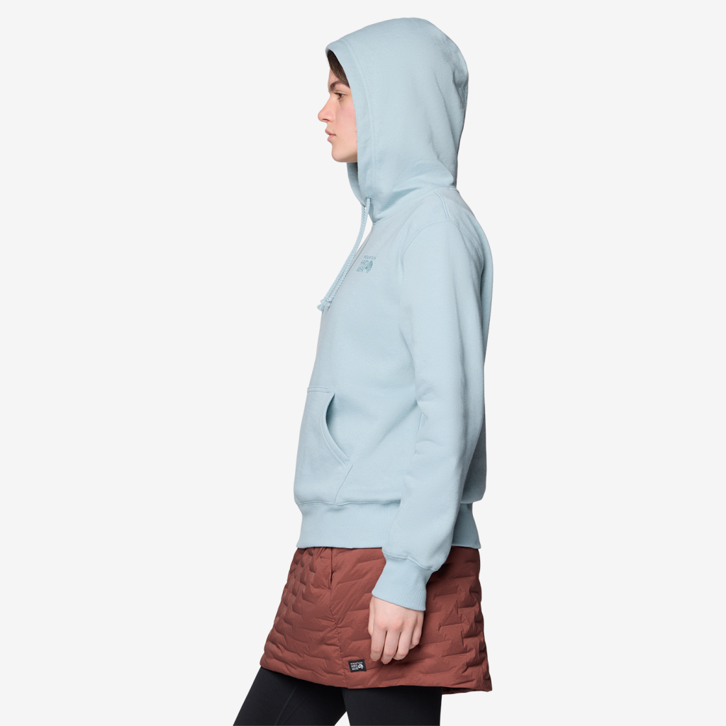 Mountain Hardwear W MHW™ Logo PO Hoody in BLAU