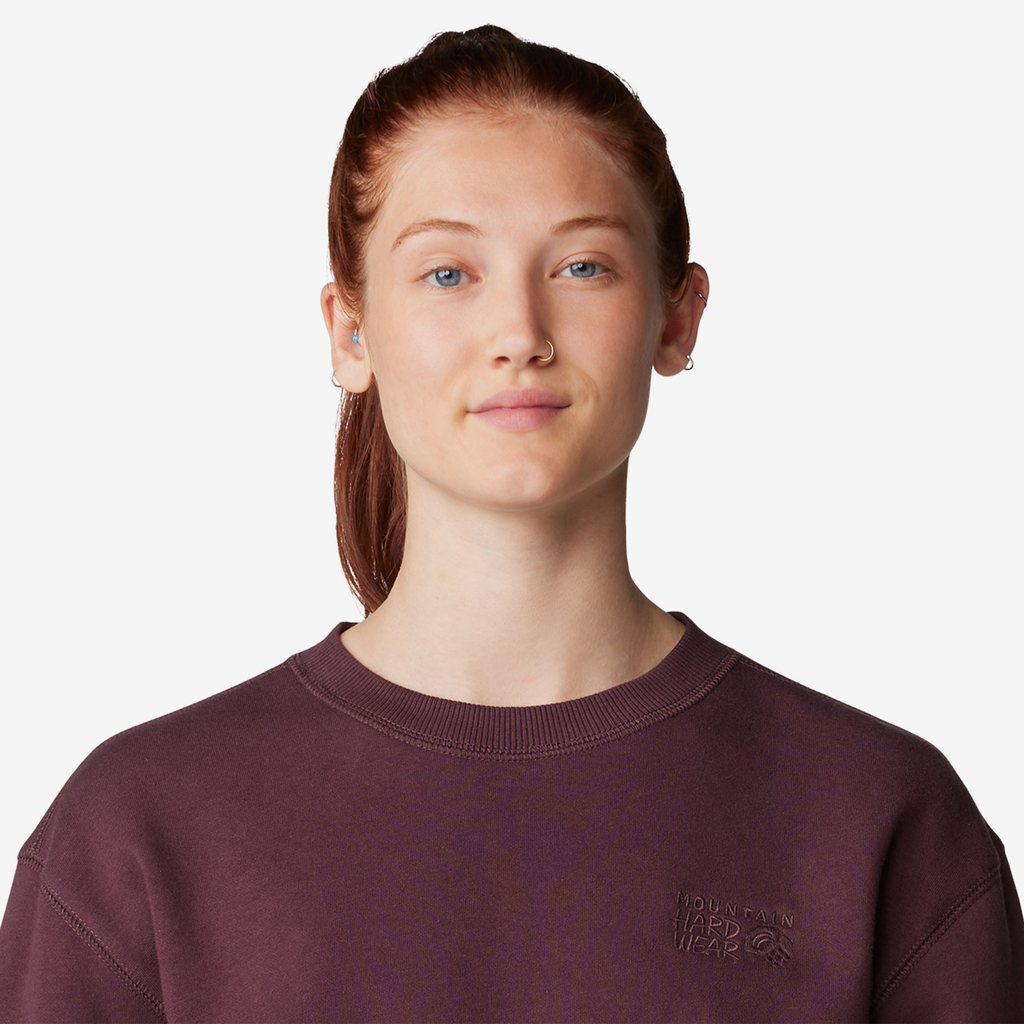 Mountain Hardwear W MHW Logo Pullover Crew in VIOLETT