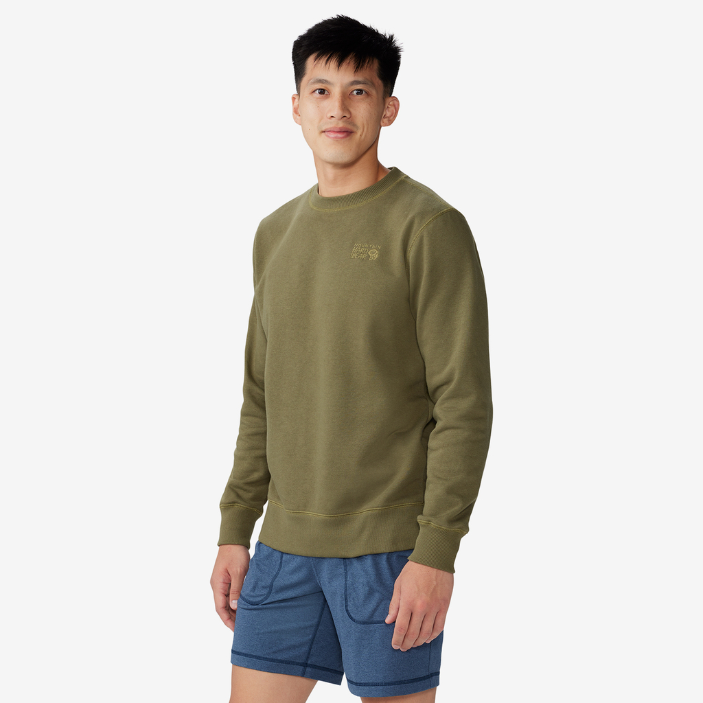 Mountain Hardwear M MHW Logo™ Pullover Crew in GRÜN