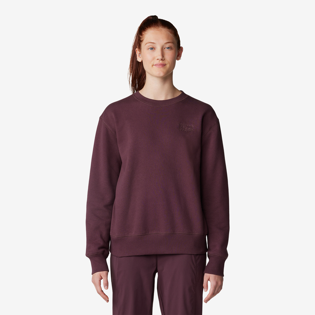 Mountain Hardwear W MHW Logo Pullover Crew in VIOLETT